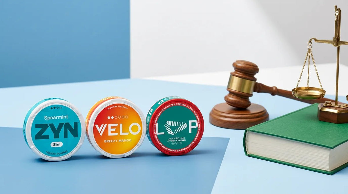 Are Nicotine Pouches Legal in Lithuania? The 2026 Grey Area Explained - The Snus Outlet