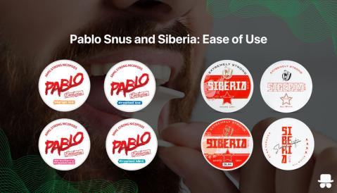 Best High Strength Nicotine Pouches in 2026: Ranked by Power and Flavour - The Snus Outlet