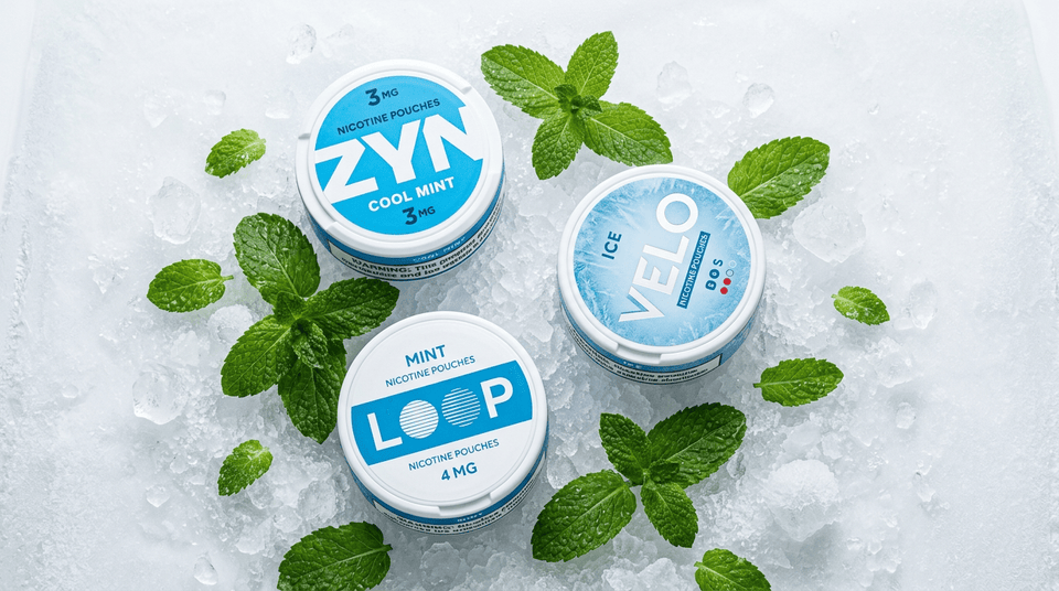 Best Mint Nicotine Pouches 2026: Ranked by Freshness, Strength and Value - The Snus Outlet
