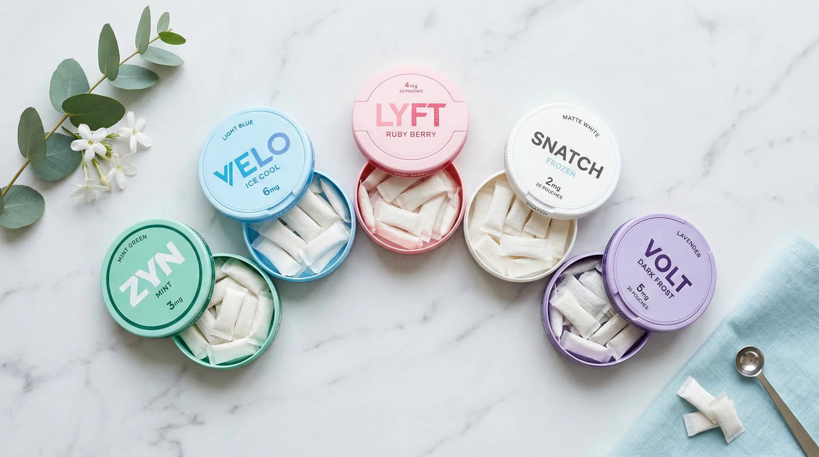 Best Nicotine Pouches for Beginners in 2026: A Complete Guide - The Snus Outlet