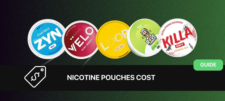Cheapest Nicotine Pouches in Europe 2026: Real Price Per Pouch Breakdown - The Snus Outlet
