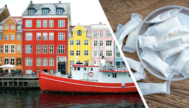 Buy Nicotine Pouches in Denmark: Legal Status, Shipping and Best Deals in 2026 - The Snus Outlet