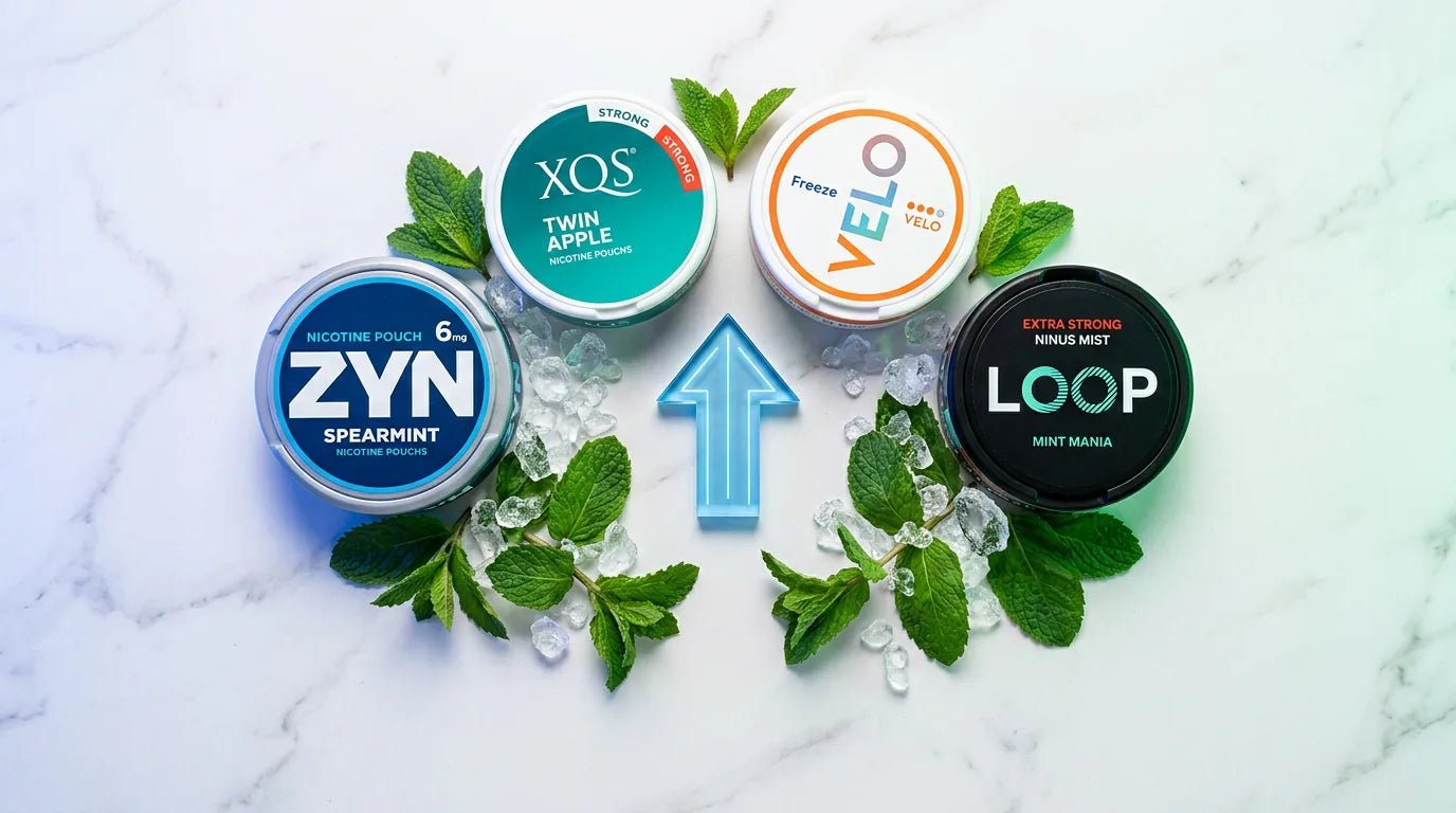 How to Choose the Right Mint Nicotine Pouch Brand (2026 Guide) - The Snus Outlet