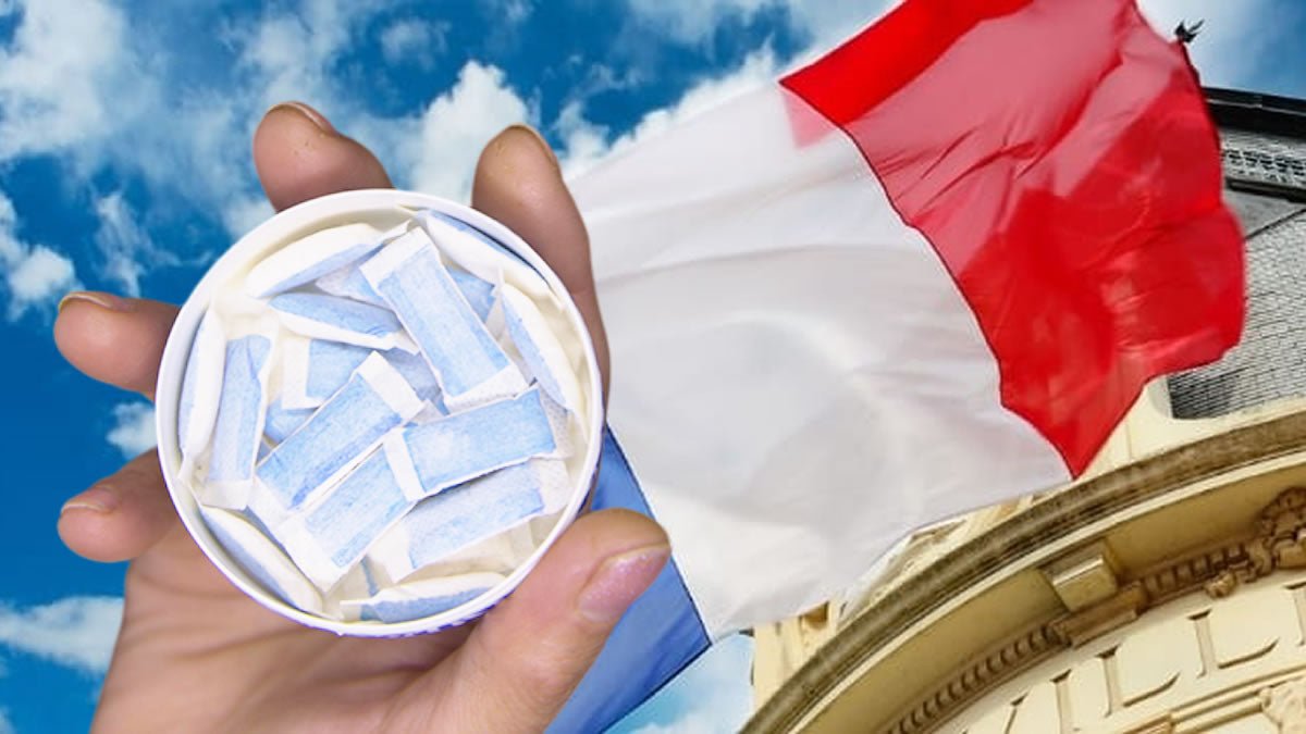 Nicotine Pouches in France: The Complete Legal Guide for 2026 - The Snus Outlet