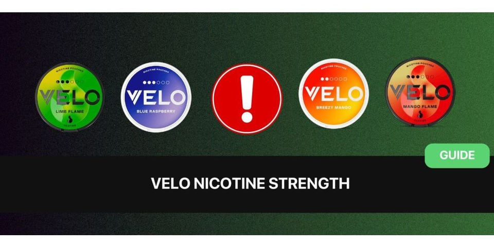 VELO Nicotine Pouches: Complete Guide to Flavors, Strengths and Prices in Europe (2026) - The Snus Outlet
