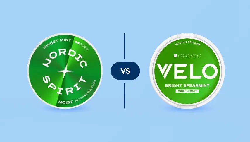 VELO vs LOOP Nicotine Pouches: Which Brand Wins in 2026? - The Snus Outlet