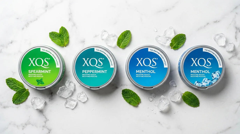 XQS New Mint Range 2026 Review: Spearmint, Peppermint & Menthol Ranked - The Snus Outlet