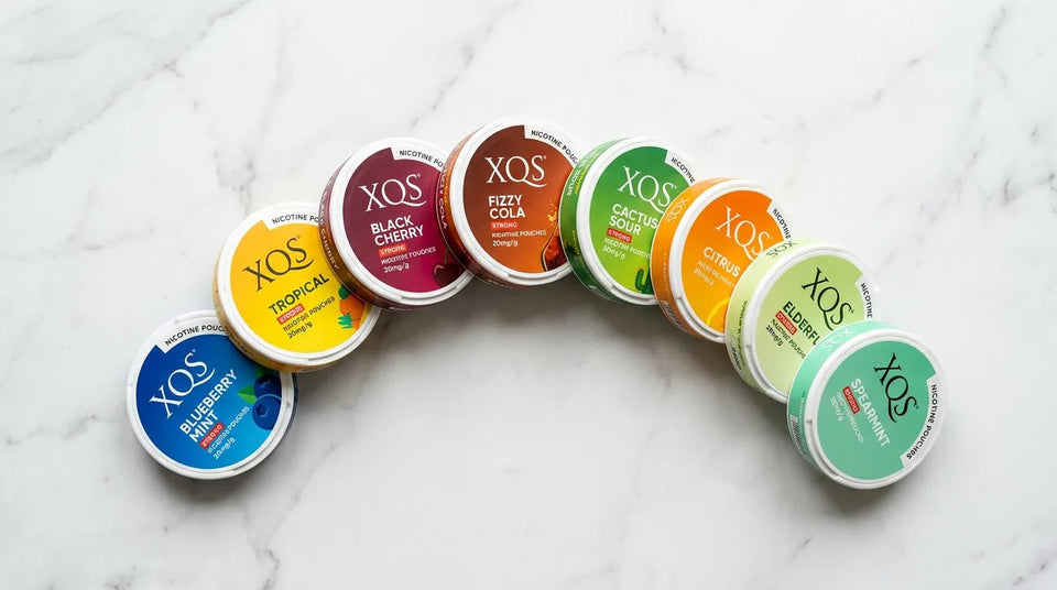 XQS Nicotine Pouches Flavours Ranked: Every Flavour Reviewed in 2026 - The Snus Outlet