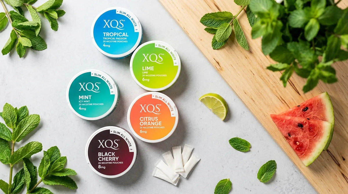 XQS Nicotine Pouches Review 2026: Every Flavour and Strength Ranked - The Snus Outlet