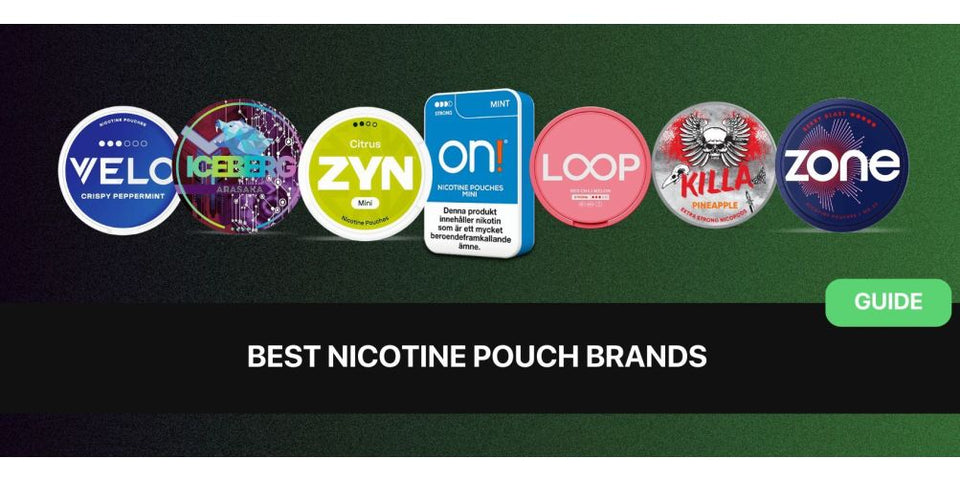 ZYN vs XQS Nicotine Pouches: Which Brand Should You Choose in 2026? - The Snus Outlet