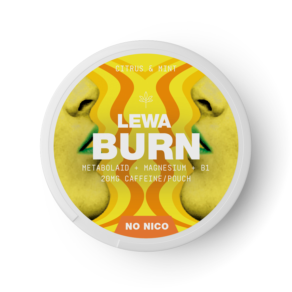 LEWA BURN Citrus & Mint No Nico - The Snus Outlet