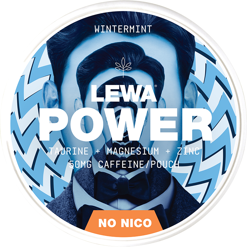 LEWA POWER Wintermint No Nico - The Snus Outlet