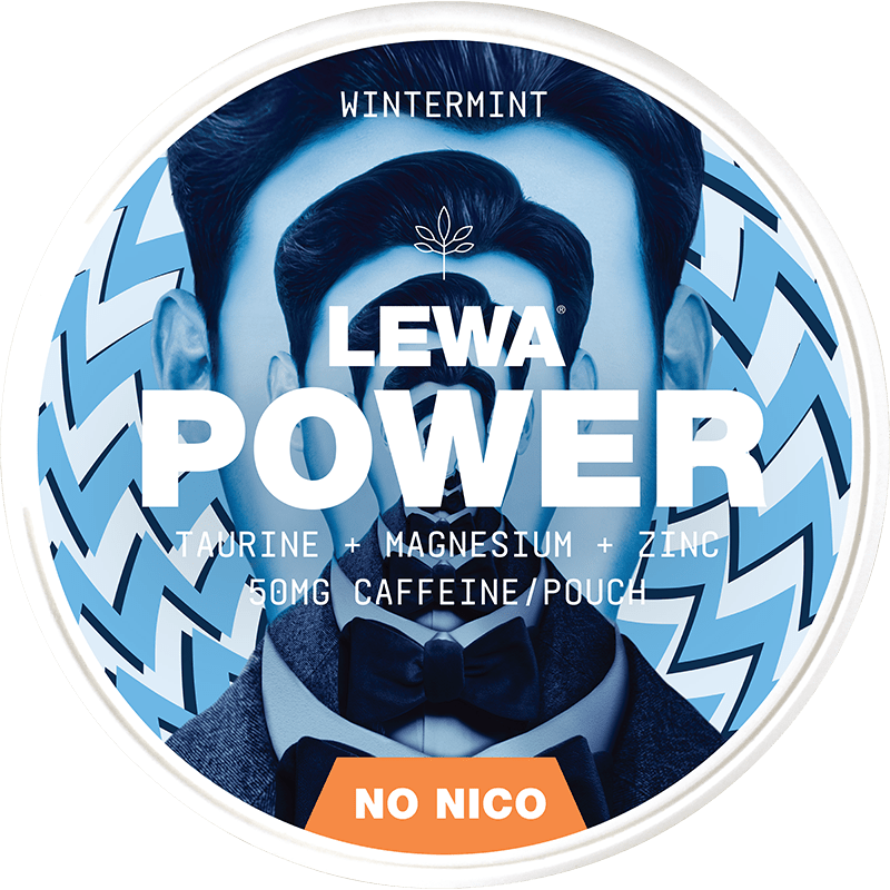 LEWA POWER Wintermint No Nico - The Snus Outlet