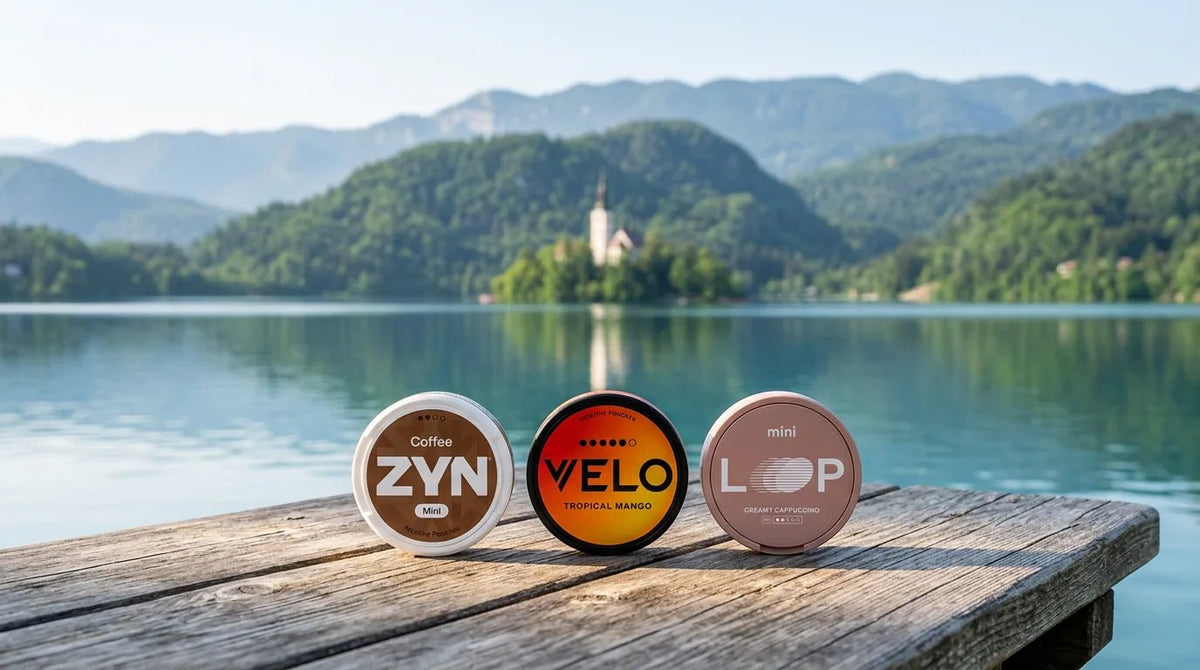 Are Nicotine Pouches Legal in Slovenia? 2026 Rules for Buyers - The Snus Outlet