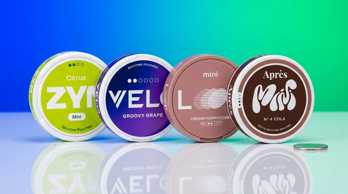 Best Mini Nicotine Pouches in 2026: Top Picks by Strength and Price - The Snus Outlet