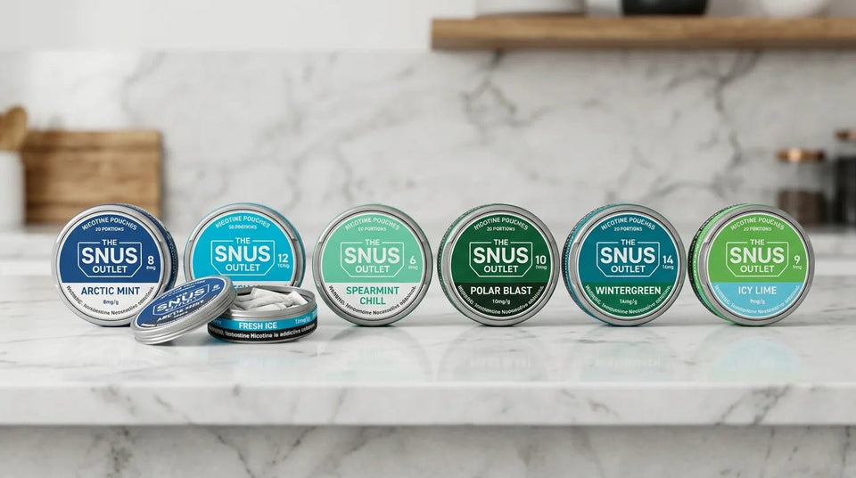 Best ZYN Alternatives 2026: Top Brands Worth Switching To - The Snus Outlet