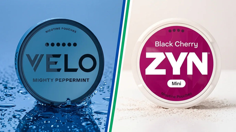 Dry vs Moist Nicotine Pouches: Which Format Is Right for You? - The Snus Outlet