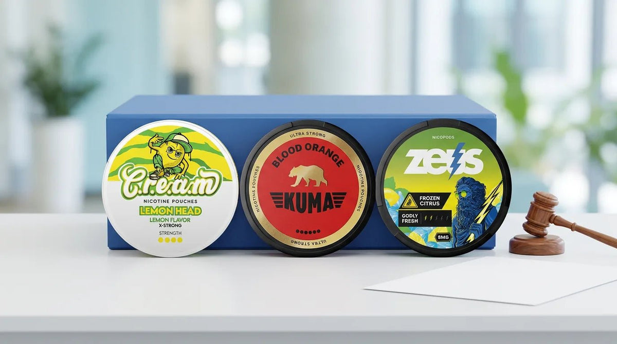 France Nicotine Pouch Ban: Latest Ruling and 2027 Budget Bid - The Snus Outlet
