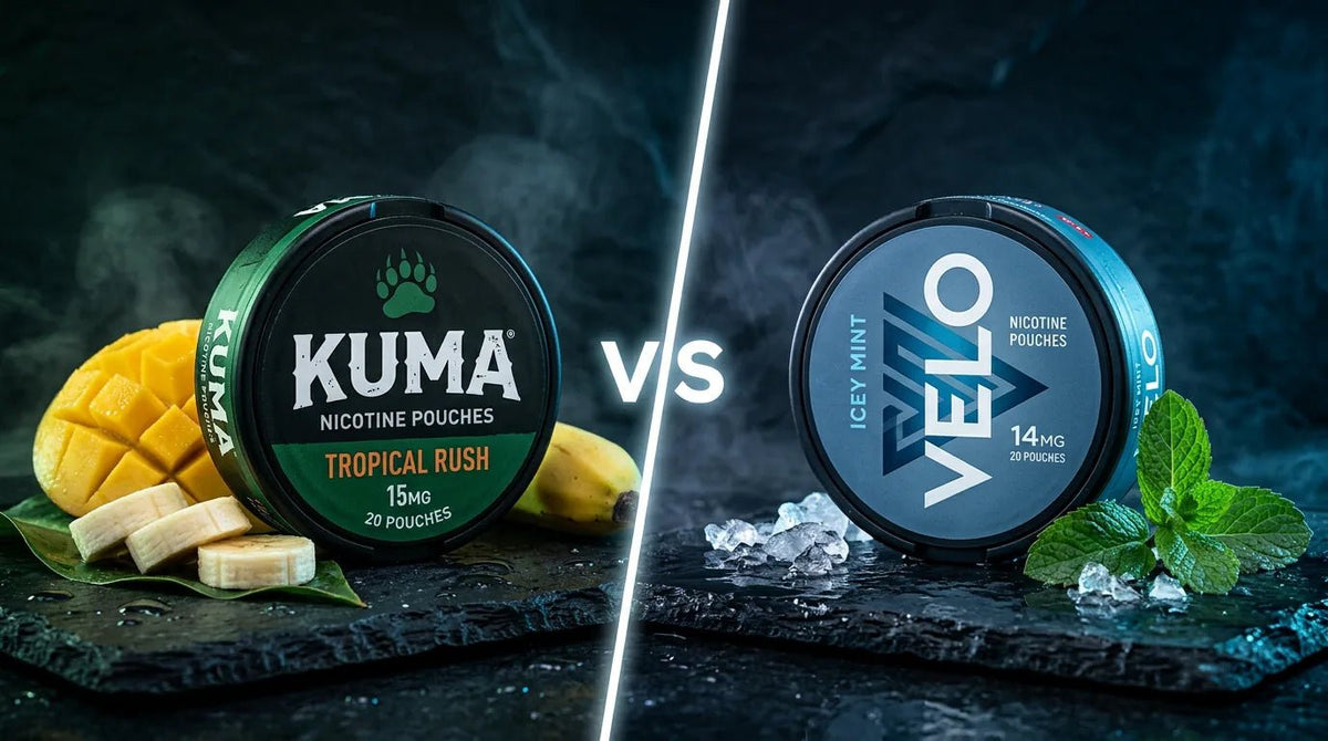 KUMA vs VELO Nicotine Pouches 2026: The Value Showdown - The Snus Outlet