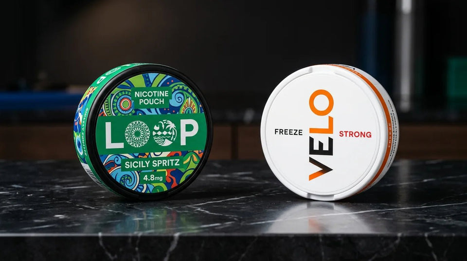 LOOP vs VELO Nicotine Pouches: Which One Should You Choose in 2026? - The Snus Outlet