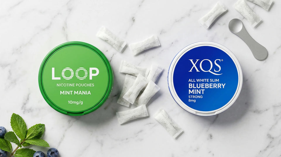 LOOP vs XQS nicotine pouches comparison showing both cans side by side with pouches