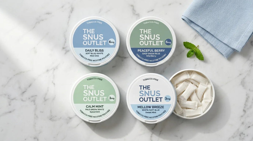 Best Nicotine Pouches for Beginners 2026: Complete Starter Guide - The Snus Outlet