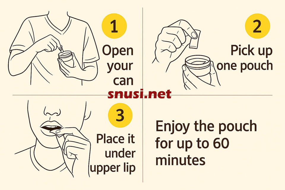 Nicotine Pouches for Beginners: The Complete Starter Guide for 2026 - The Snus Outlet