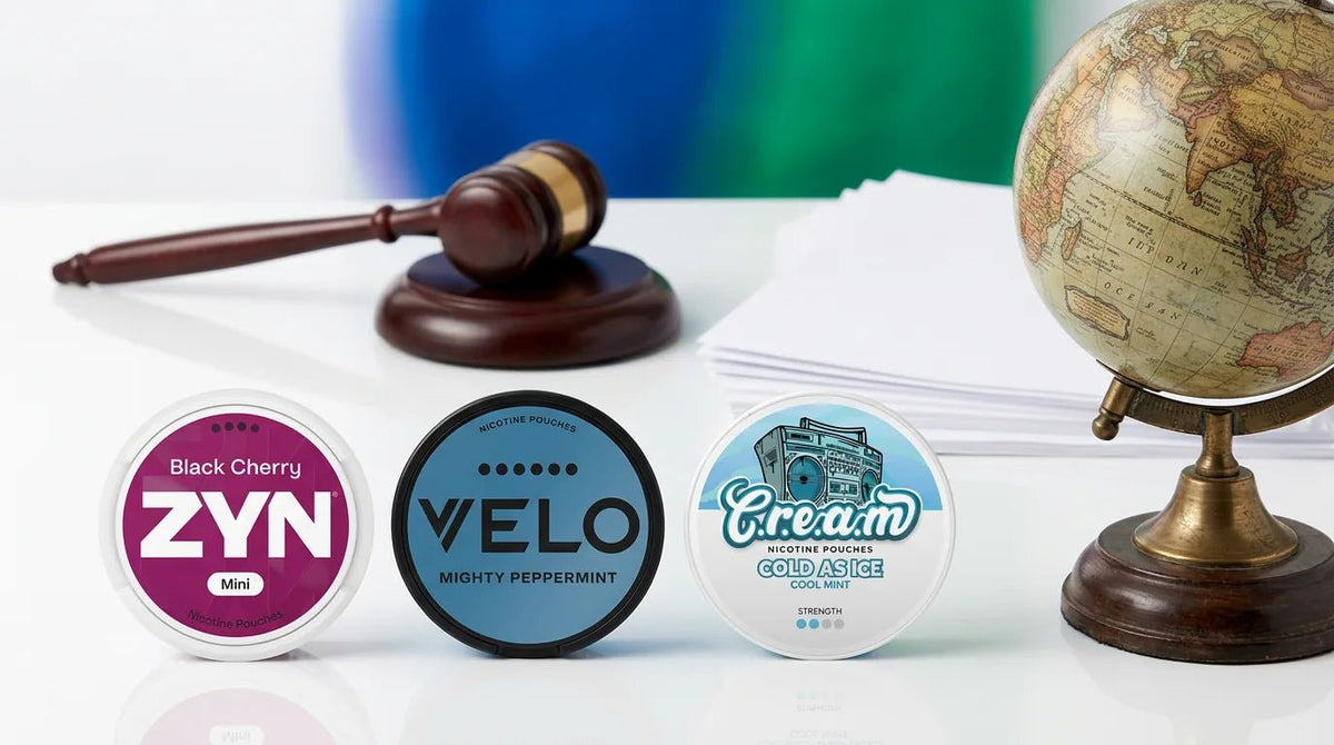 Are Nicotine Pouches Legal in India? 2026 Rules, Crackdown and What to Know - The Snus Outlet