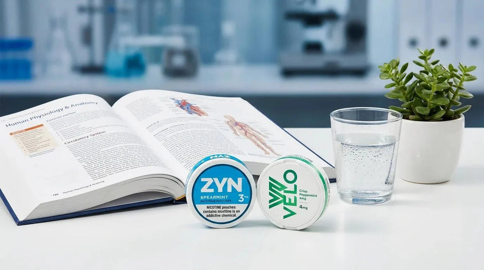 Nicotine Pouches and Nausea: Why It Happens and How to Stop It - The Snus Outlet