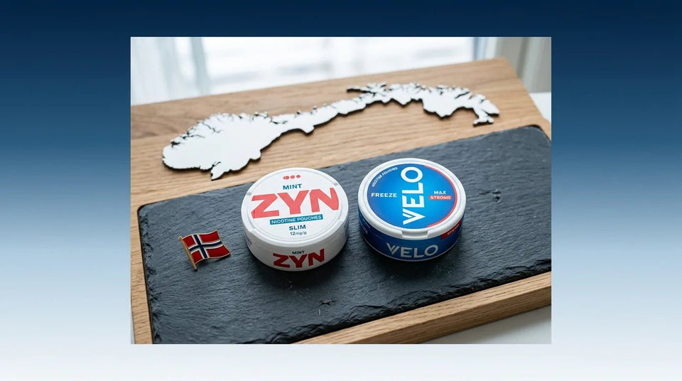 Nicotine Pouches in Norway 2026: Snus Is Legal, Pouches Are Not — What You Need to Know - The Snus Outlet
