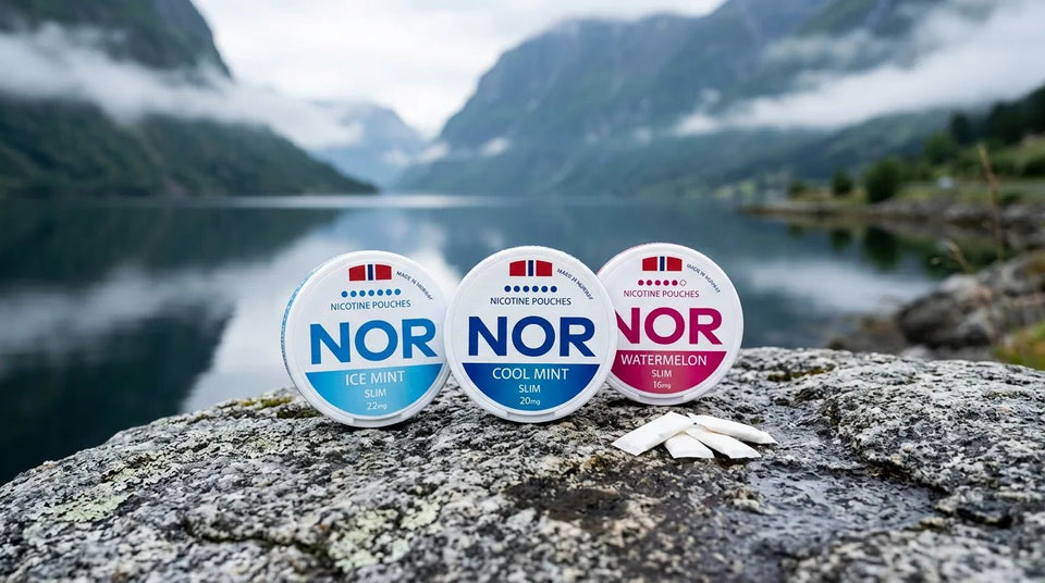 NOR Nicotine Pouches Review: Norway's All-White Brand Tested - The Snus Outlet