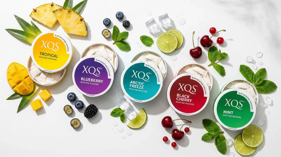 XQS nicotine pouches all flavors including Tropical Blueberry Arctic Freeze Black Cherry and Mint