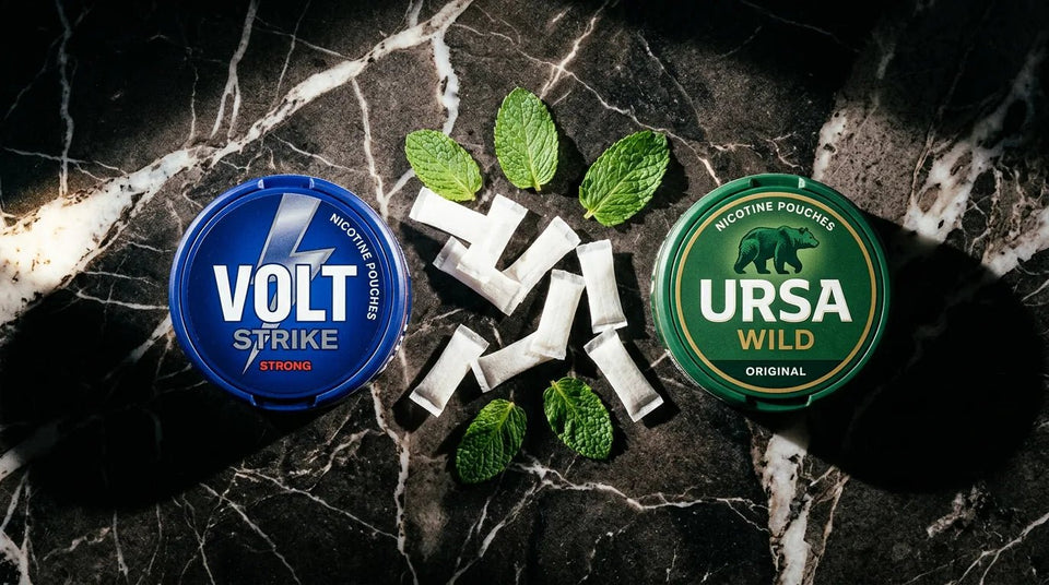 ZEUS vs KUMA Nicotine Pouches: Which Ultra-Strong Brand Wins in 2026? - The Snus Outlet