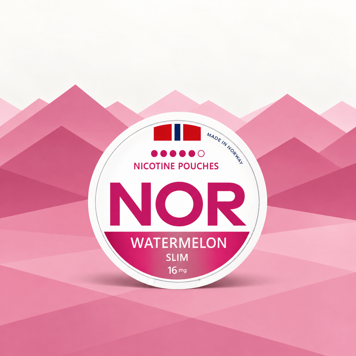 NOR Watermelon 16mg - The Snus Outlet