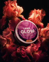 LEWA GLOW Strawberry & Vanilla No Nico - SHORT DATE DEAL - The Snus Outlet