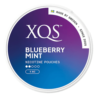 XQS Blueberry Mint 4mg - SHORT DATE DEAL