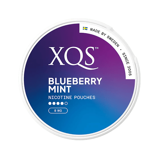 XQS Blueberry Mint Strong 8mg - The Snus Outlet